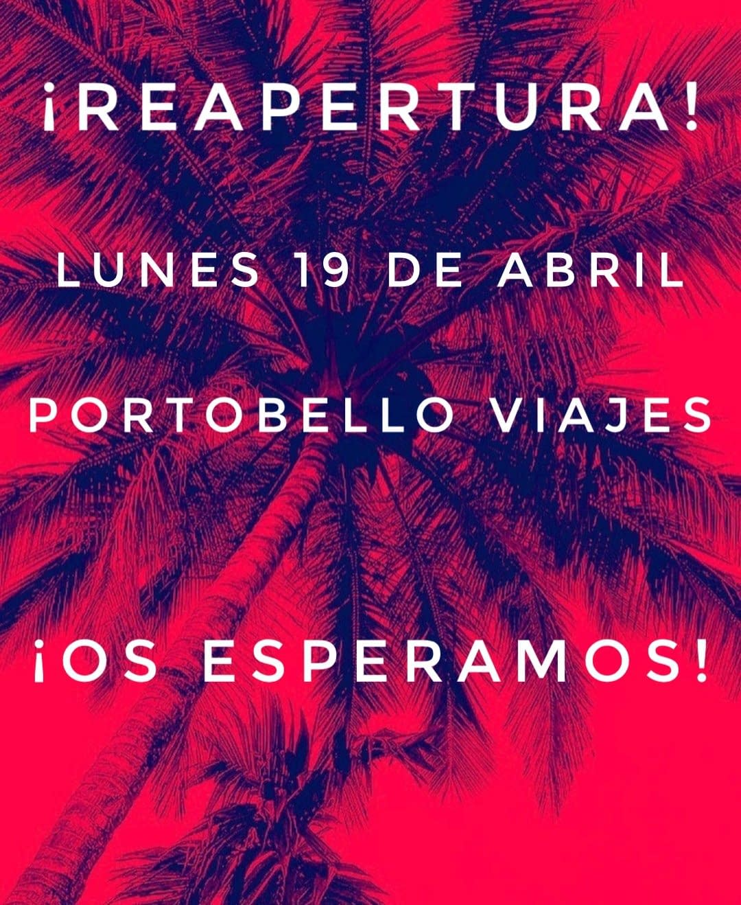 Reapertura Portobello Viajes