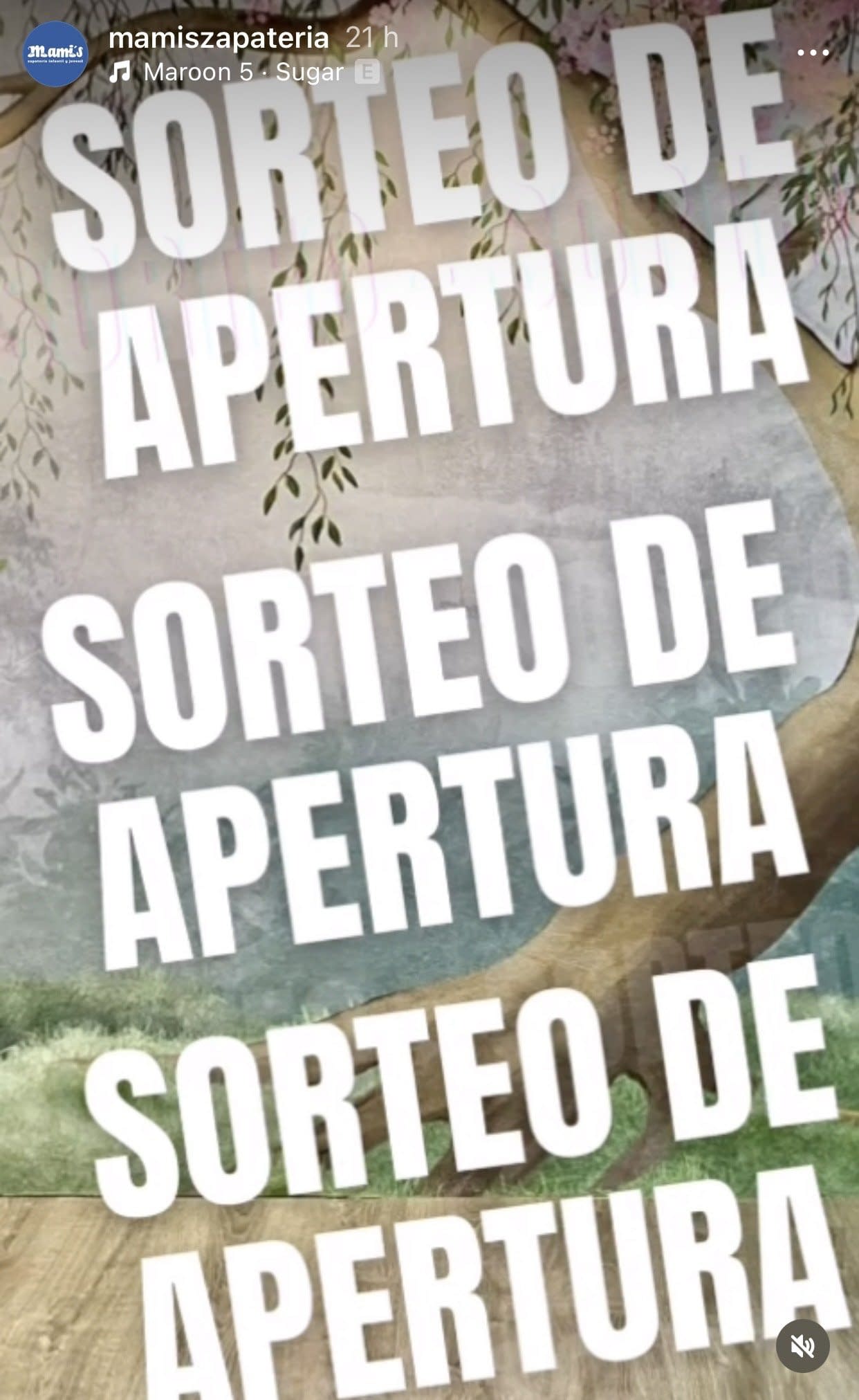 sorteo de apertura
