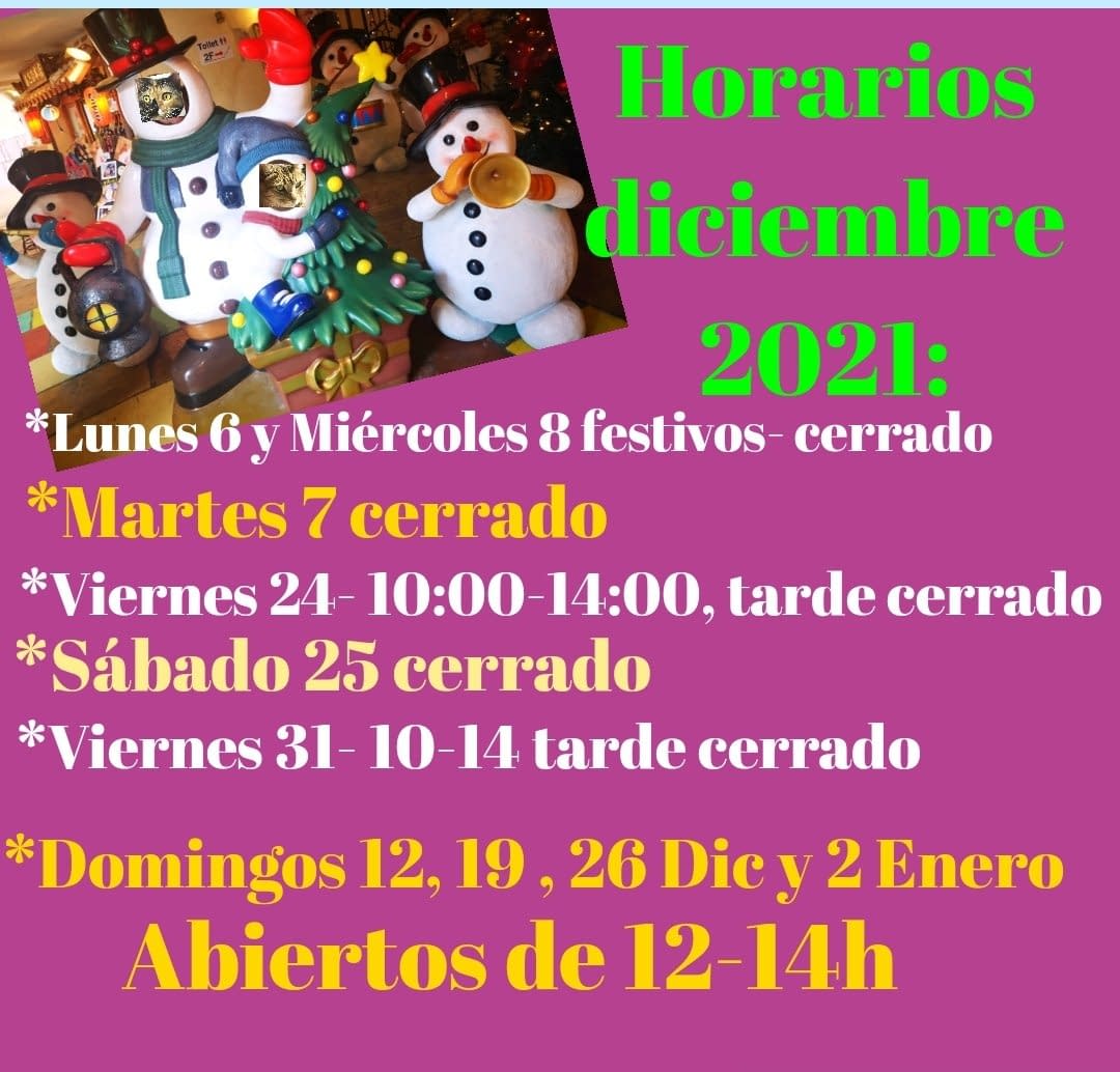 Horarios Navidad 2021